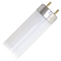 17 Watt 2 ft. T8 Fluorescent Tube G158526
