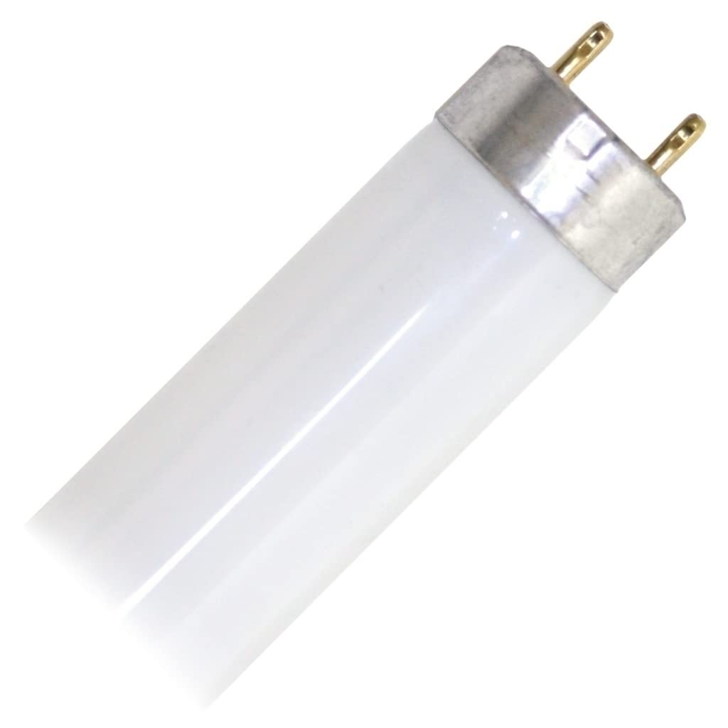 17 Watt 2 ft. T8 Fluorescent Tube G158526