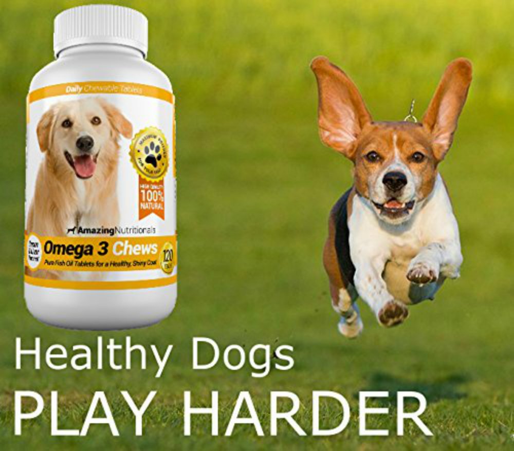 Omega-3 Fish Oil and Turmeric Curcumin Chews for Dogs W445