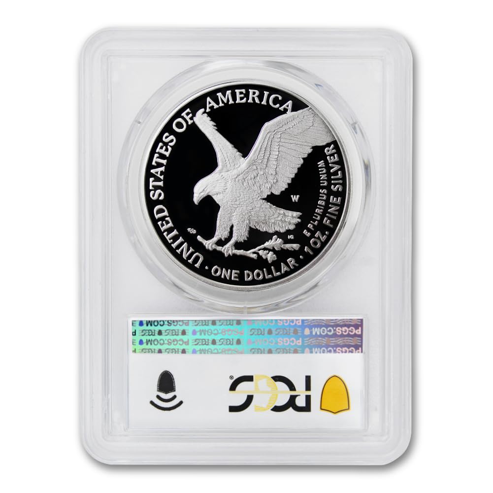 1 oz American Silver Eagle Coin T49491
