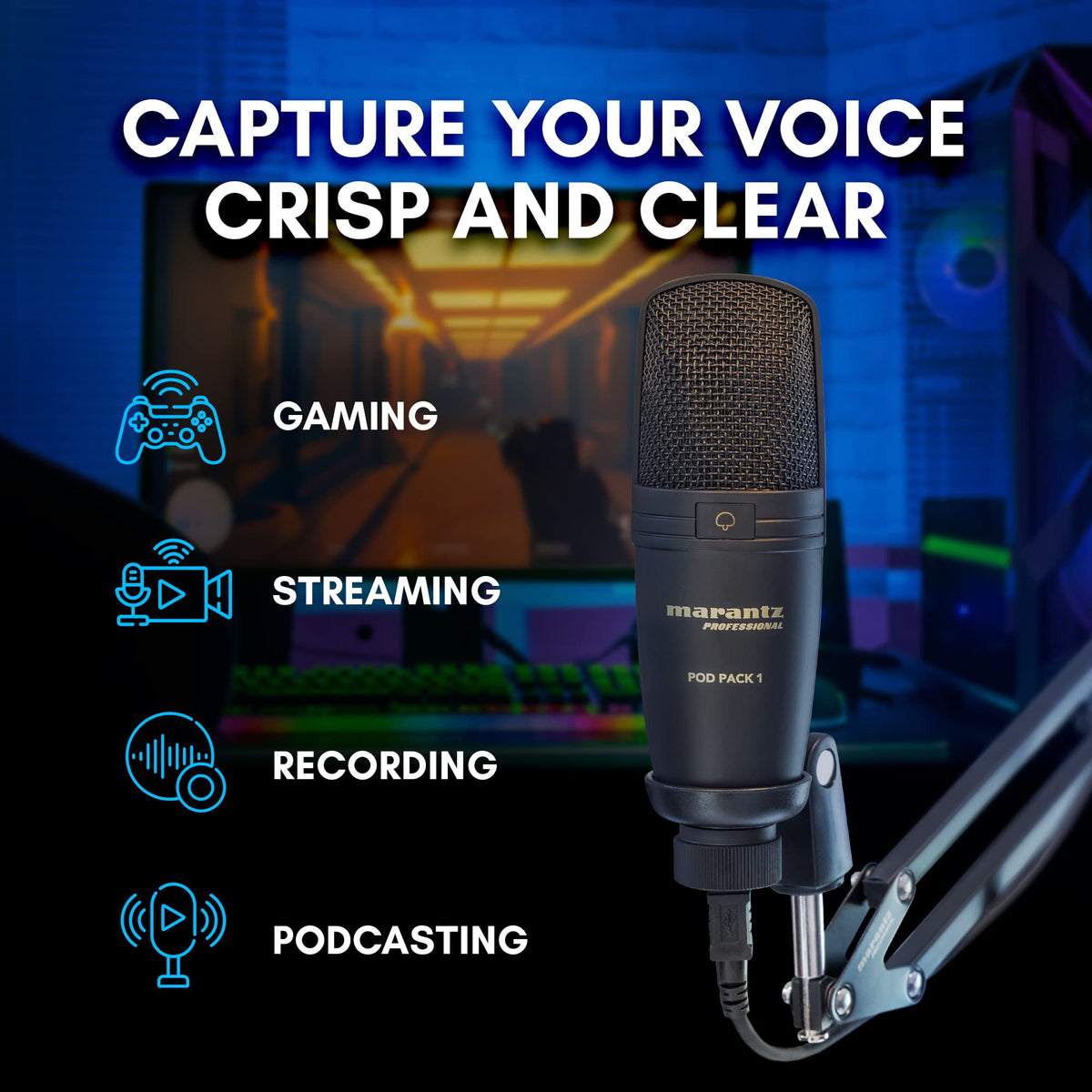 USB Microphone with Boom Arm D589602