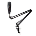 USB Microphone with Boom Arm D589602