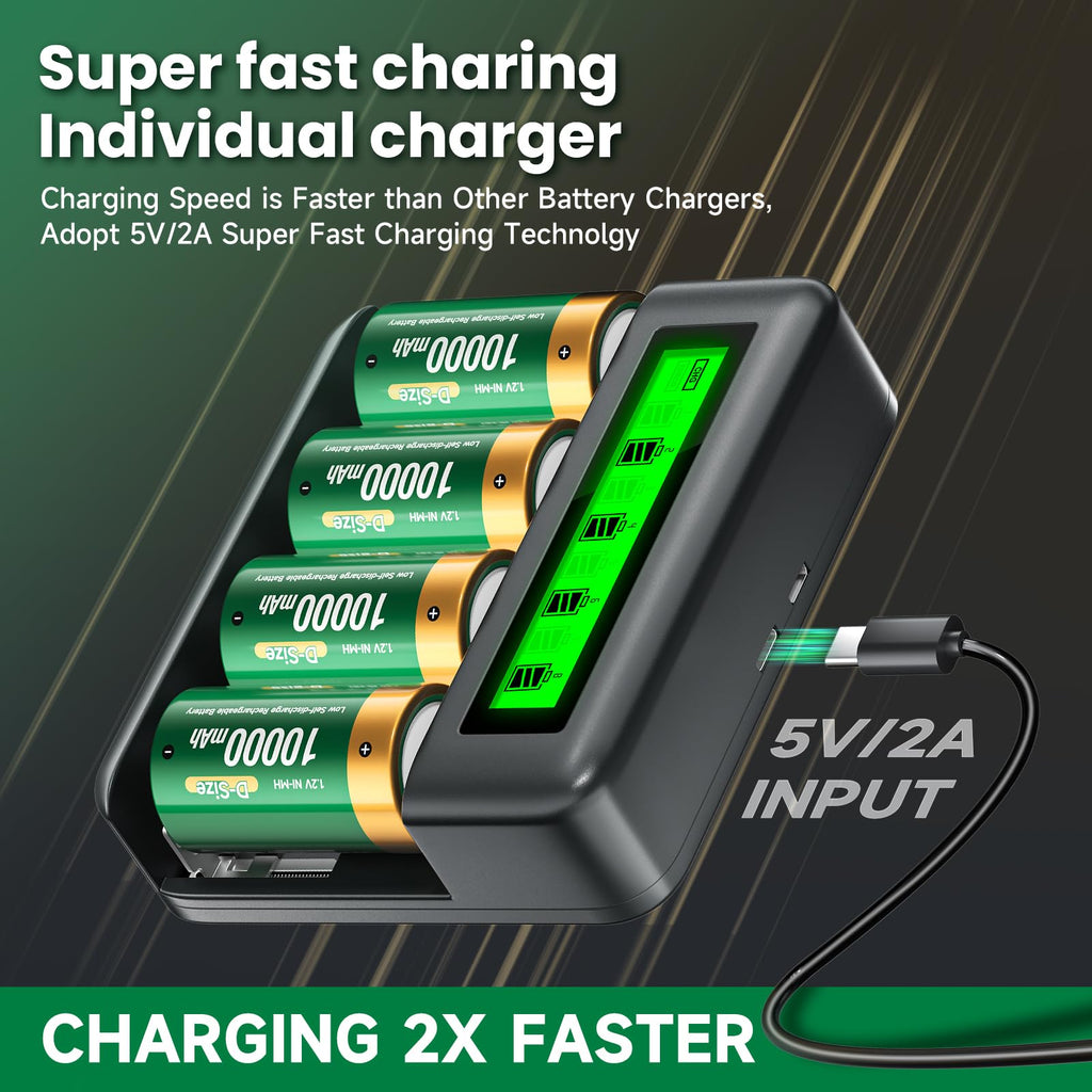 Rechargeable D Batteries with Charger I44624