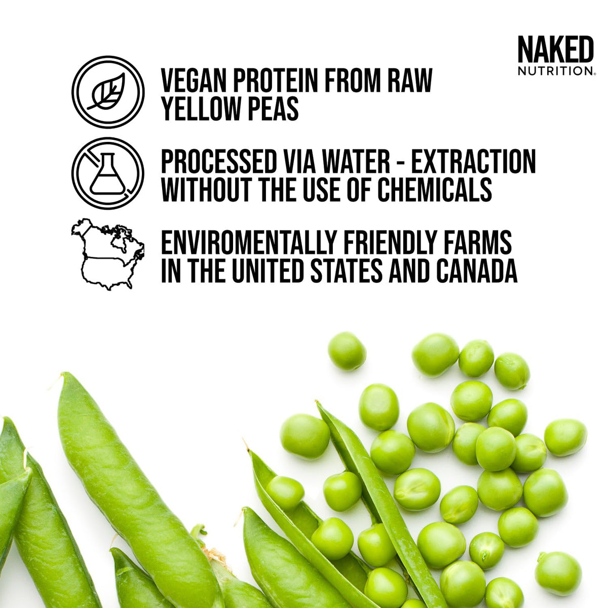 Pea Protein Powder 2LB and Powdered Peanut Butter 1.5LB Vegan Non-GMO Gluten Free H931535