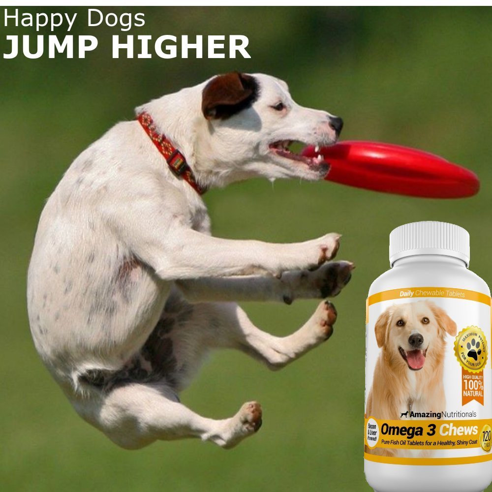 Omega-3 Fish Oil and Turmeric Curcumin Chews for Dogs W445