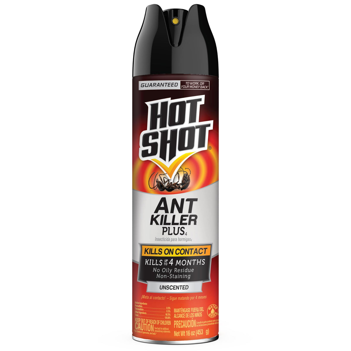 Ant Killer Plus Aerosol 16 Oz Unscented A8810