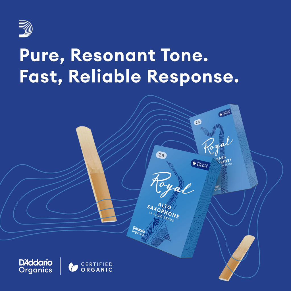 Soprano Saxophone Reeds Strength 3.0 V166