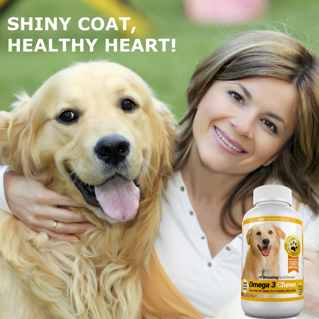 Omega-3 Fish Oil and Turmeric Curcumin Chews for Dogs W445