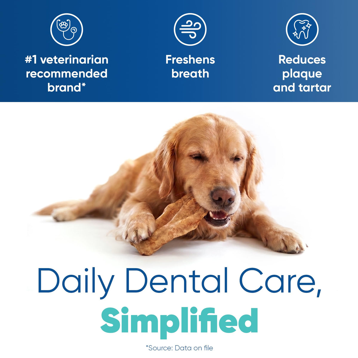 Large Tartar Control Enzymatic Oral Hygiene Chews for Dogs V407