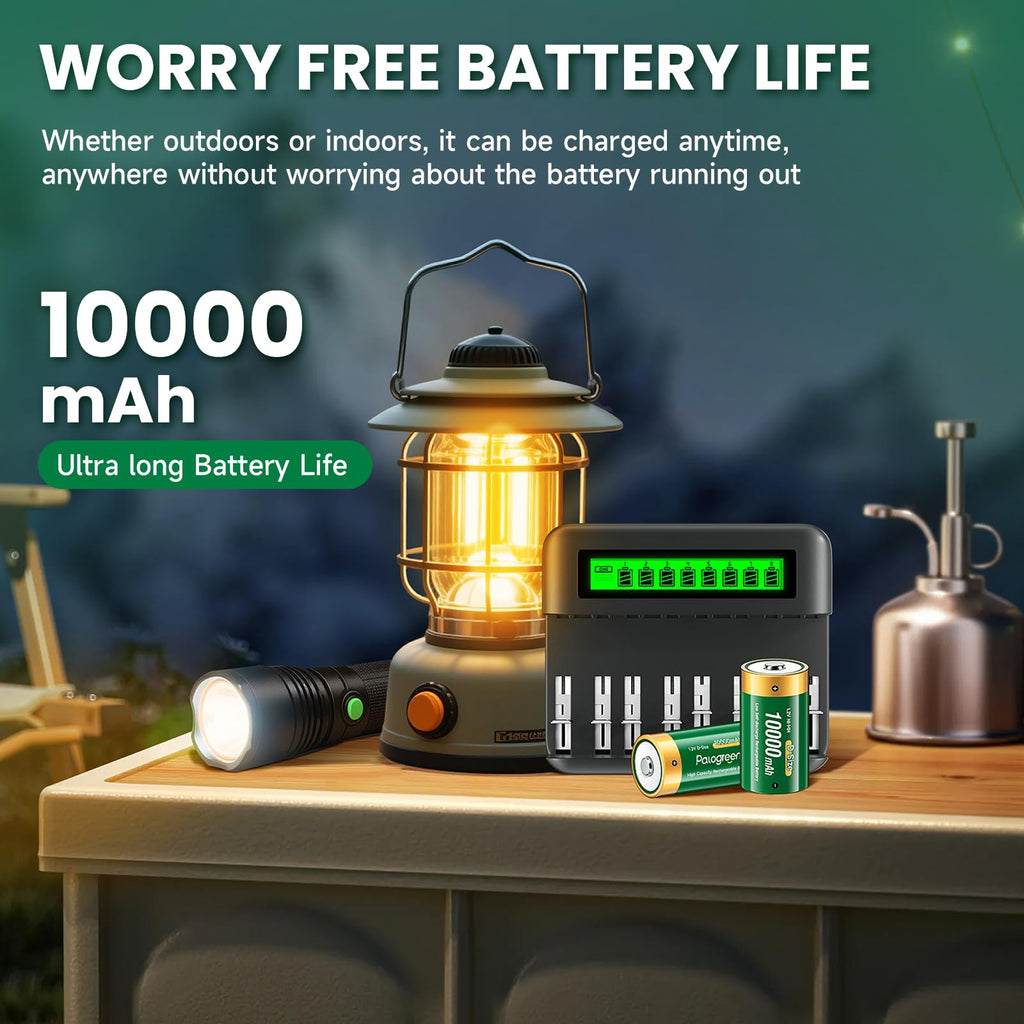 Rechargeable D Batteries with Charger I44624