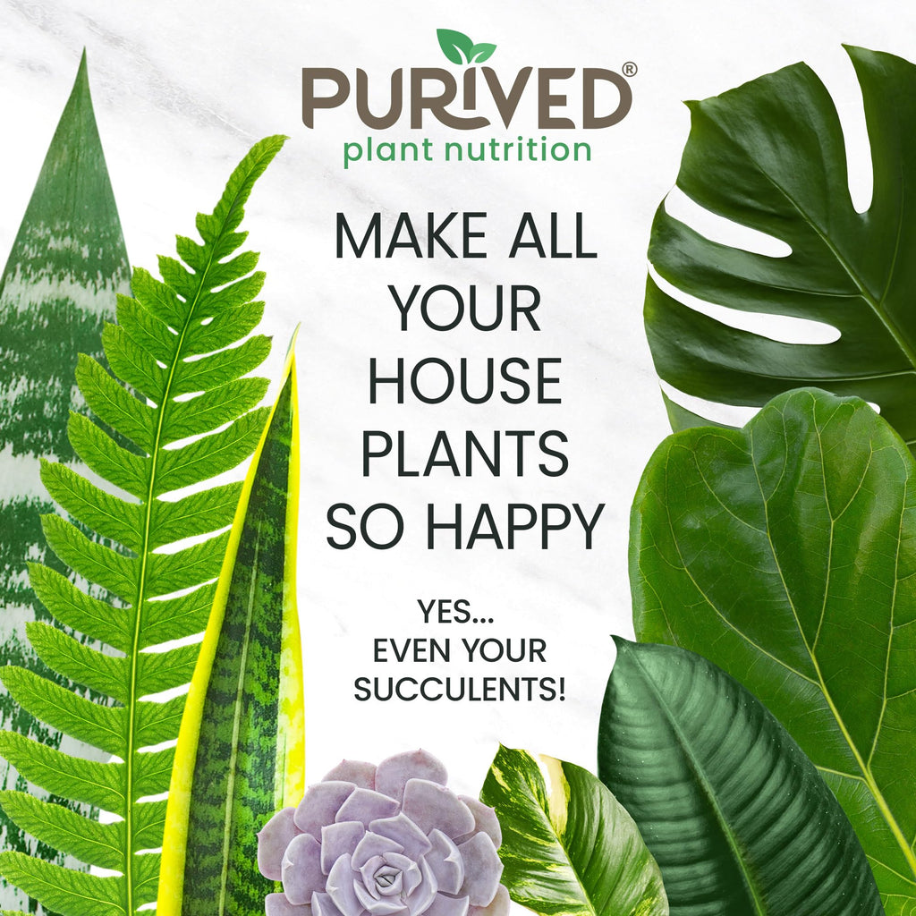 16 oz All-Purpose Liquid Plant Fertilizer X741547