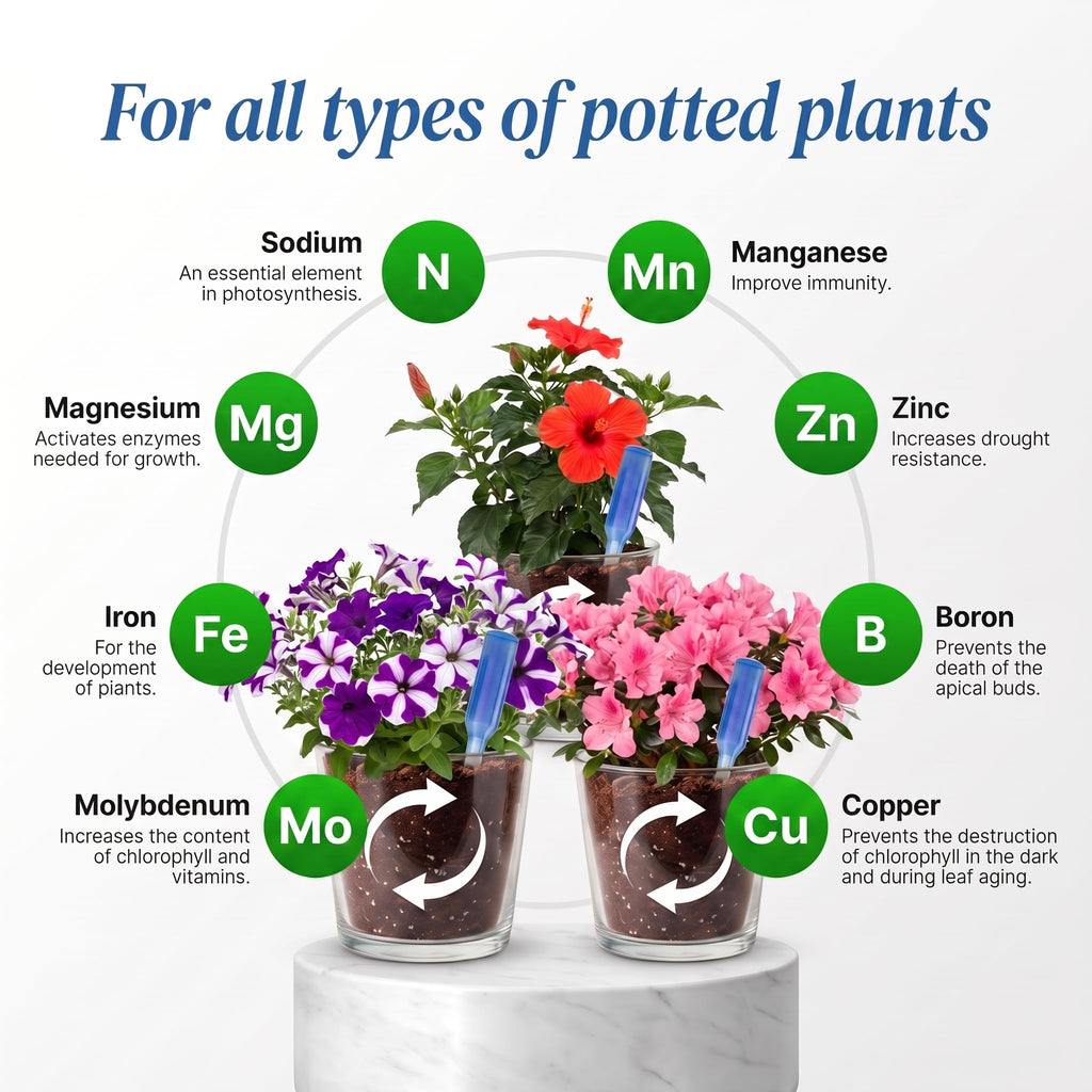 Liquid Plant Food Fertilizer 6-Pack Concentrated Nutrient Solution D753360