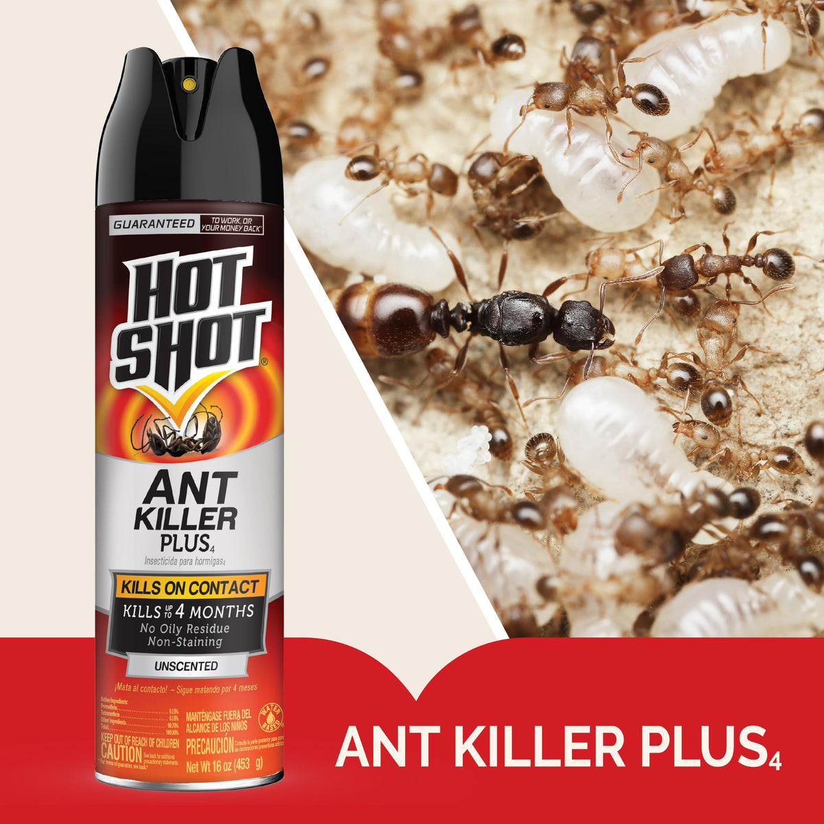 Ant Killer Plus Aerosol 16 Oz Unscented A8810