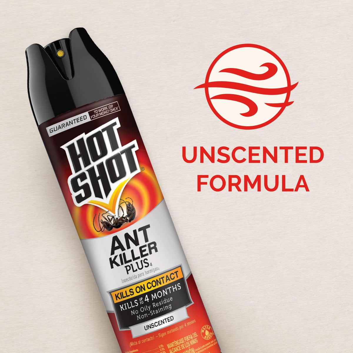 Ant Killer Plus Aerosol 16 Oz Unscented A8810