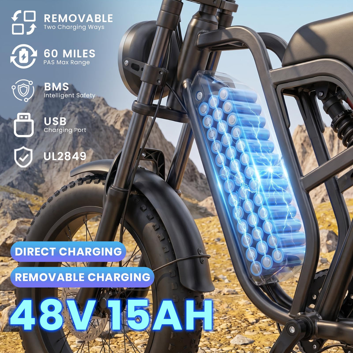 1500W Electric Bike with 48V 15Ah Removable Battery C8939