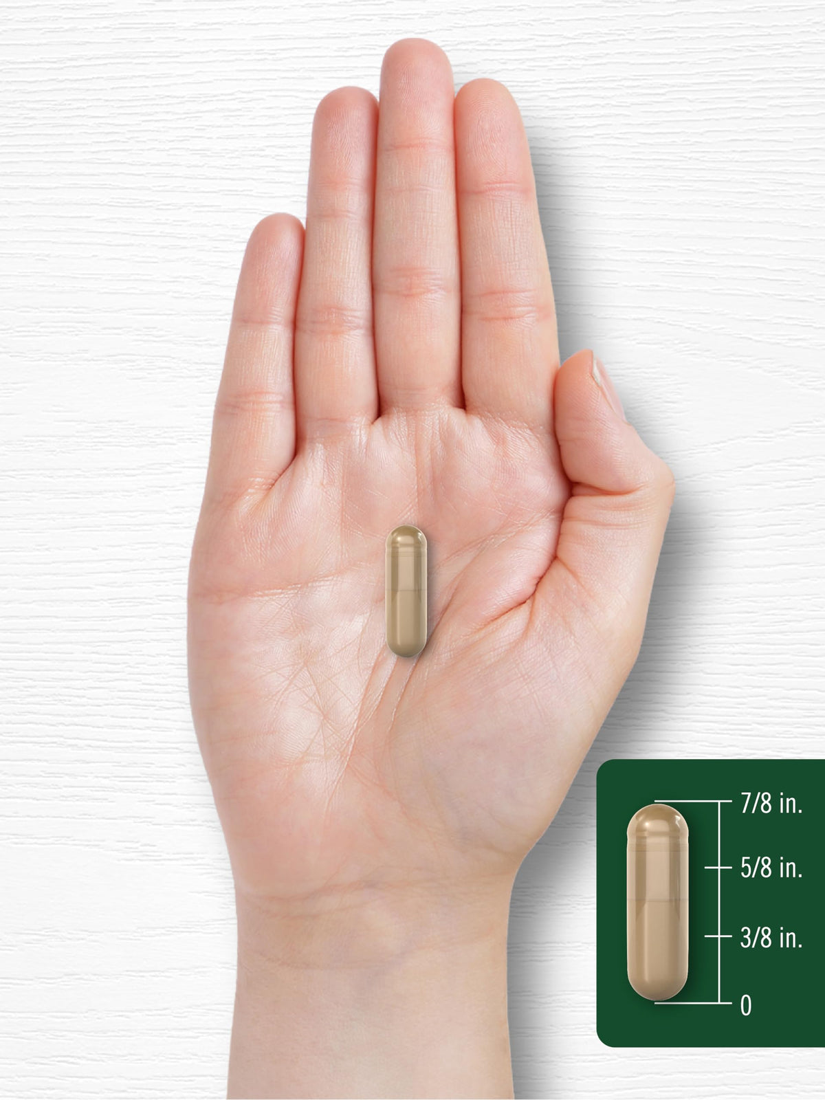 Cinnamon Capsules 120 Count H40613