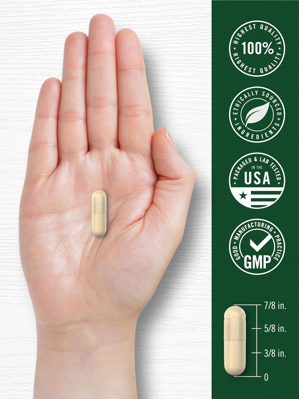 Cinnamon Capsules 120 Count H40613