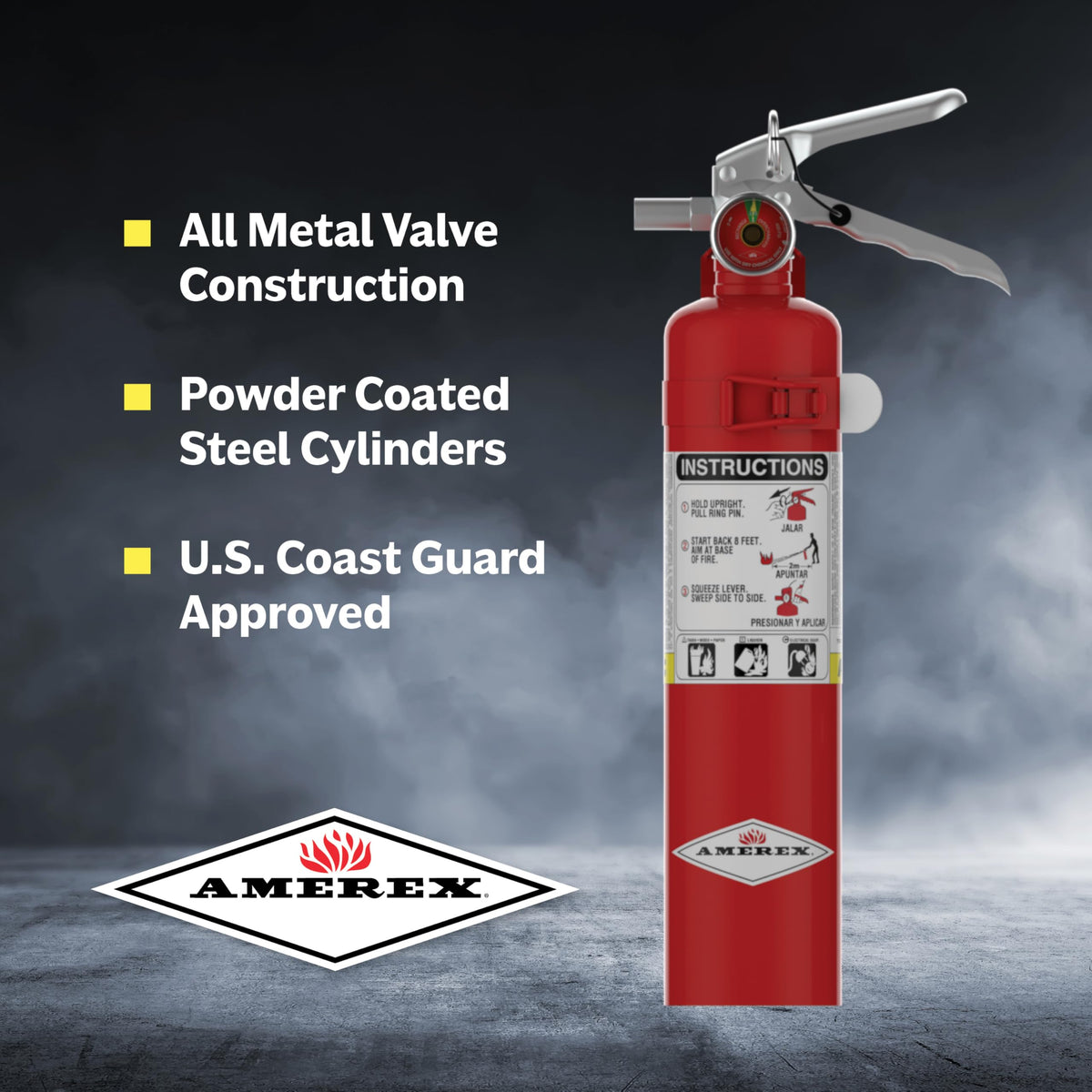 2.5 Pounds Dry Chemical Fire Extinguisher F7958